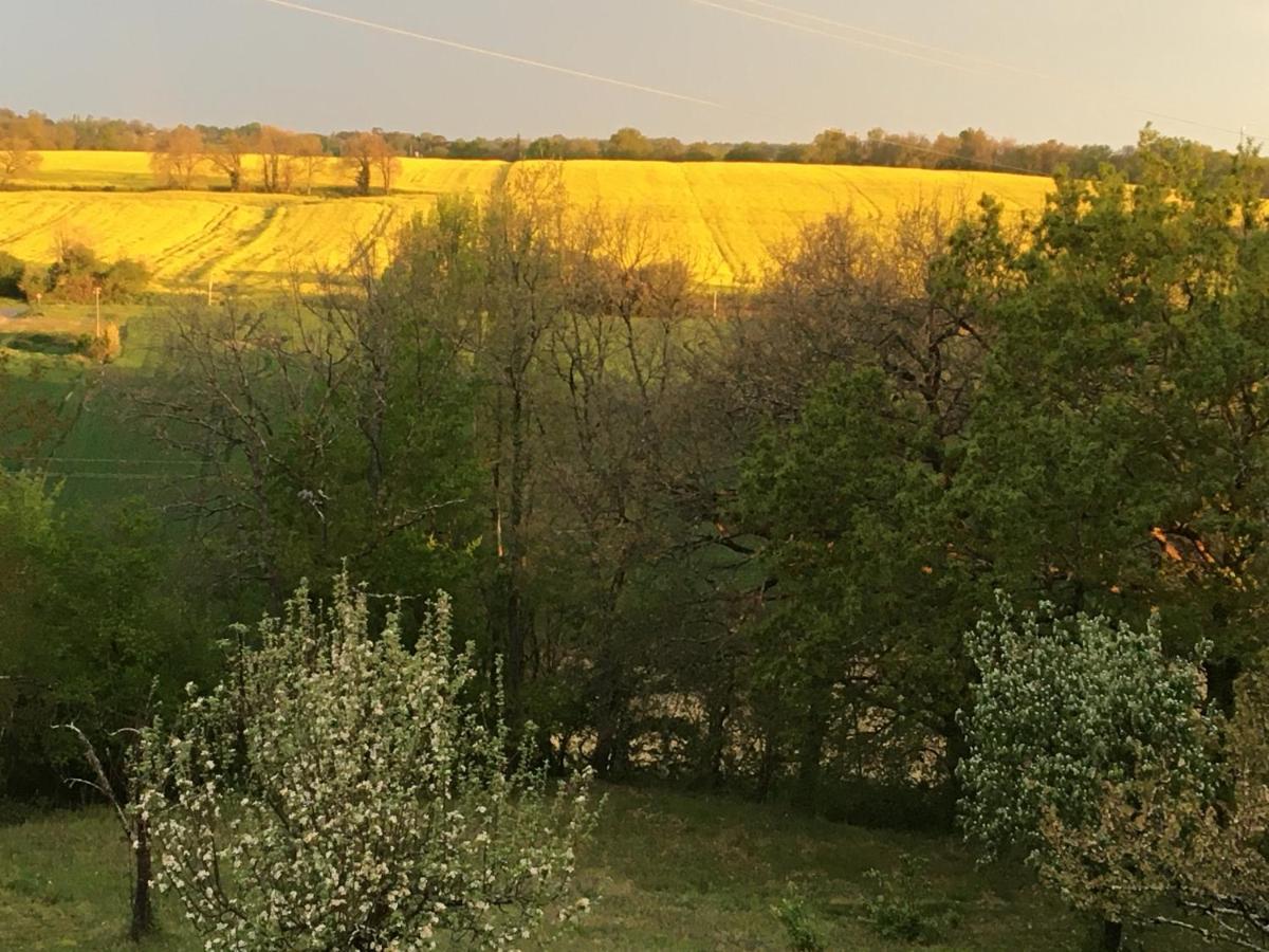 Chambre d'hôtes Dougnac Art Fantastique Fleurance Extérieur photo